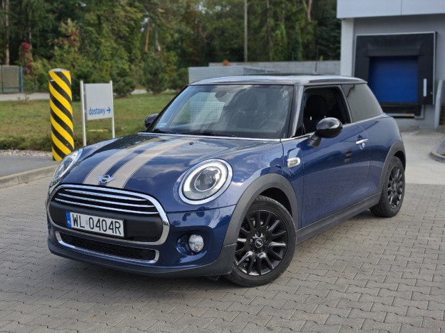 mini